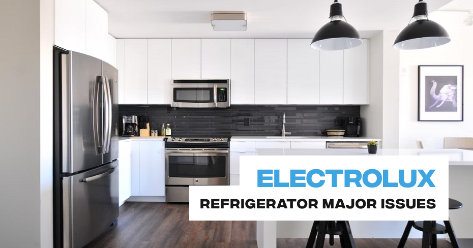 Electrolux Refrigerator freezing food